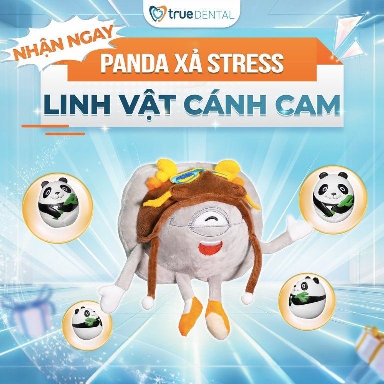 "10 GIÂY TÍCH TẮC - RINH QUÀ TỨC KHẮC" BÙNG NỔ KHUYẾN MÃI CUỐI NĂM TẠI TRUE DENTAL 2 BÙNG NỔ KHUYẾN MÃI CUỐI NĂM TẠI TRUE DENTAL