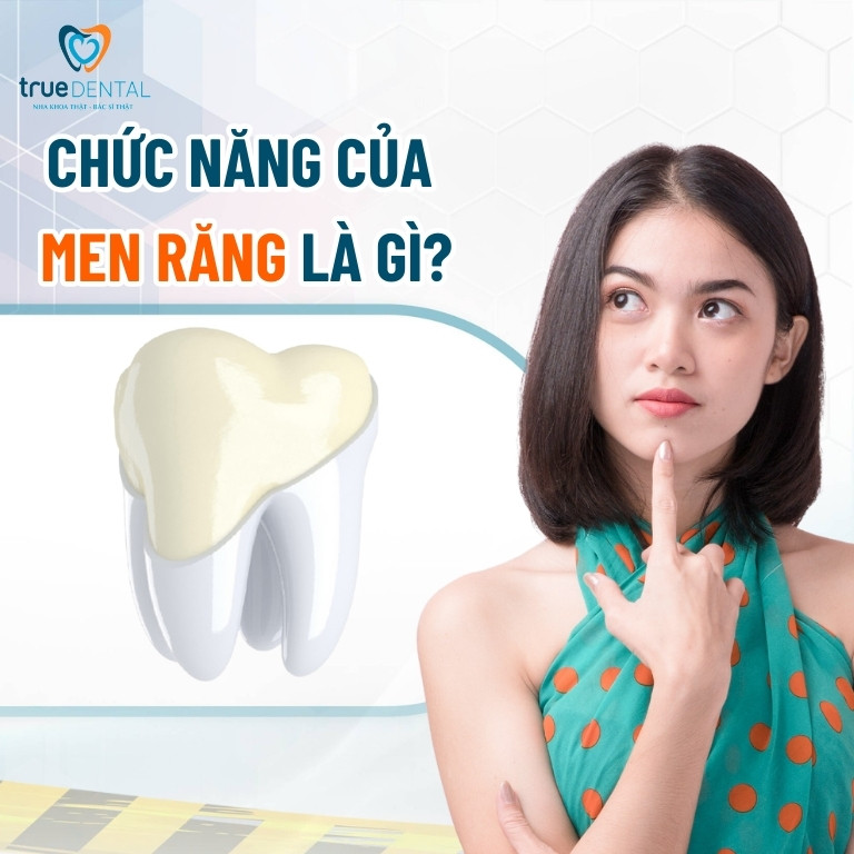 MEN RĂNG LÀ GÌ? CẤU TẠO, CHỨC NĂNG VÀ CÁCH BẢO VỆ MEN RĂNG 3 Chức năng của men răng là gì
