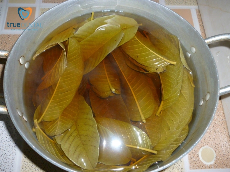 Cách làm trắng răng tại nhà hiệu quả, đơn giản nhanh nhất 6 Cải thiện độ trắng sáng của răng bằng lá ổi tại nhà