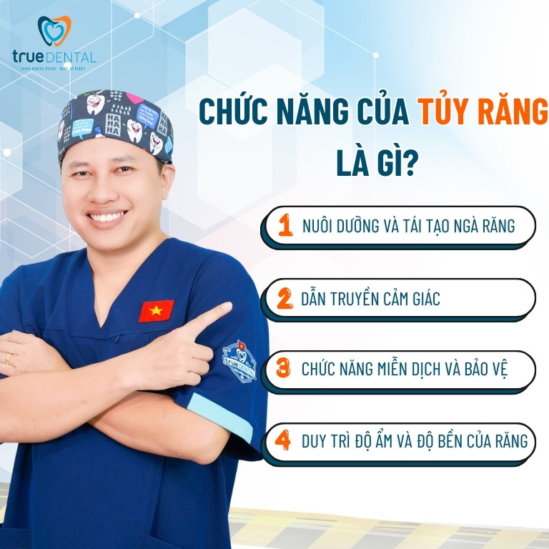 Tủy răng là gì? Cấu tạo, tác dụng và tâm quan trọng của tuỷ răng 6 Chức năng của tủy răng