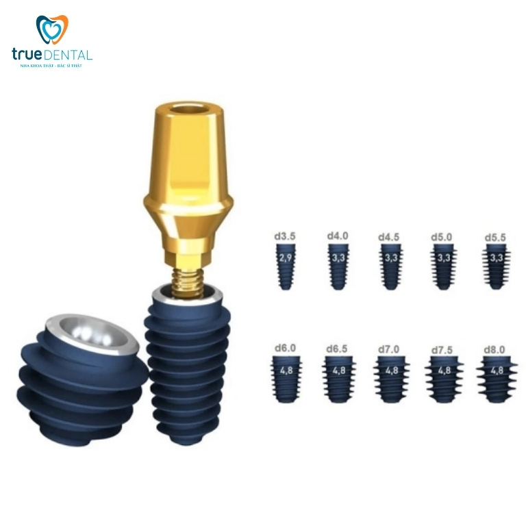 Các Loại Cấy Ghép Implant Và Cách Lựa Chọn Đúng Dành Cho Bạn 6 Trụ Implant Megagen