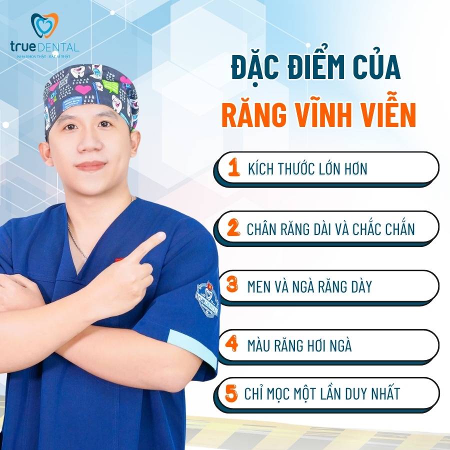 Răng vĩnh viễn là răng nào? Có bao nhiêu cái? 4 Đặc điểm của răng vĩnh viễn