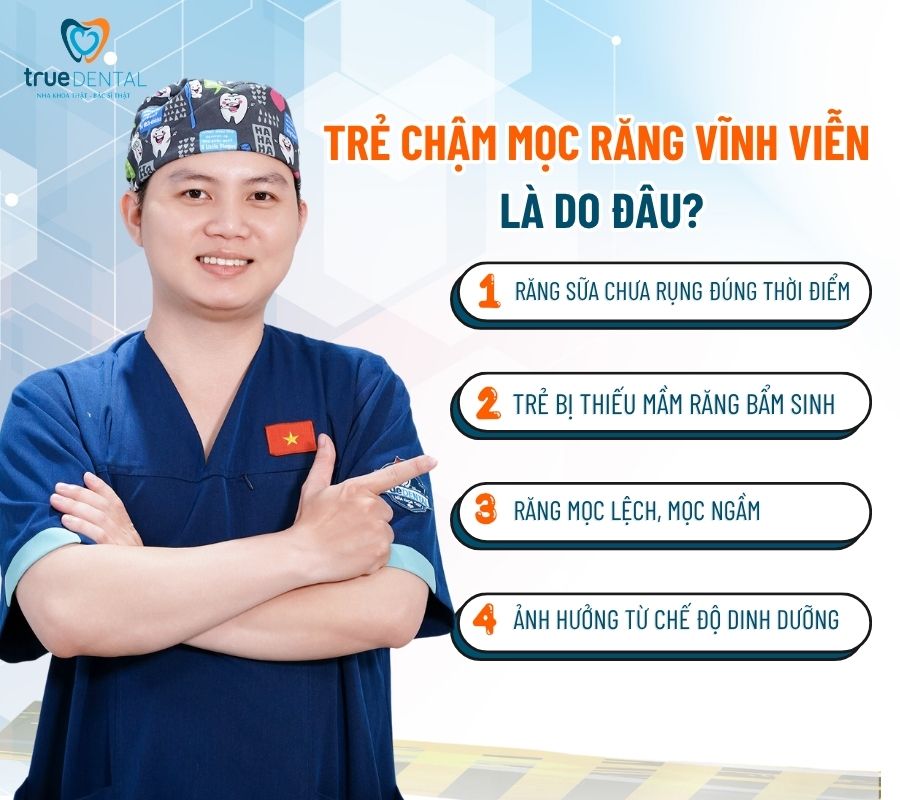 Răng vĩnh viễn là răng nào? Có bao nhiêu cái? 11 Trẻ chậm mọc răng vĩnh viễn có sao không?