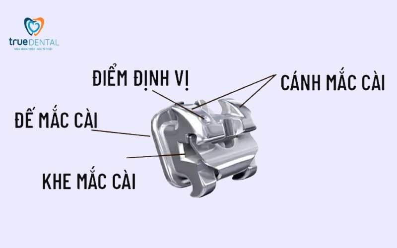 Mắc cài sứ được làm từ chất liệu gì? 1 Mắc cài sứ được làm từ chất liệu gì