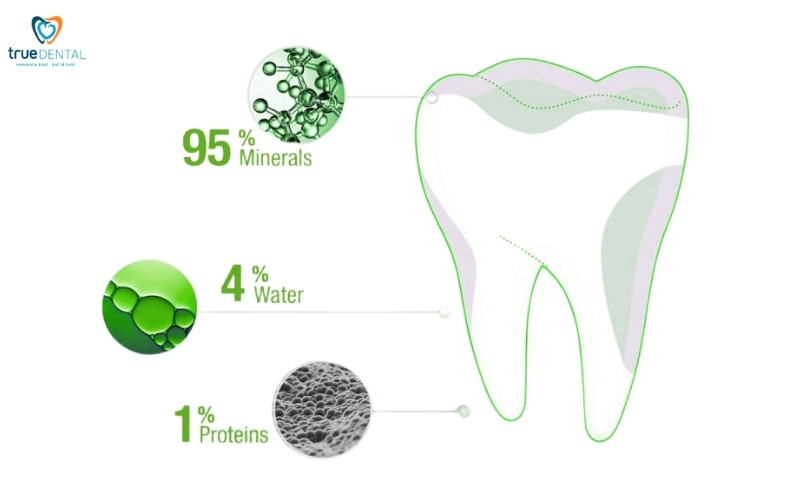 Những lý do khiến men răng bị mòn 1 men răng bị mòn