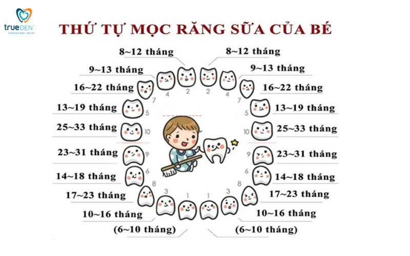 Thời gian hồi phục sau khi nhổ răng sữa cho bé 1 Thời gian hồi phục sau khi nhổ răng sữa cho trẻ