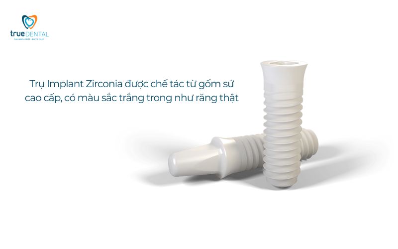 So sánh trụ Implant Titanium và Zirconia: Nên chọn loại nào cho cấy ghép? 2 So sánh trụ Implant Titanium và Zirconia